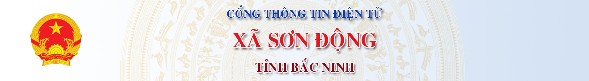 banner SƠN-ĐỘNG.png